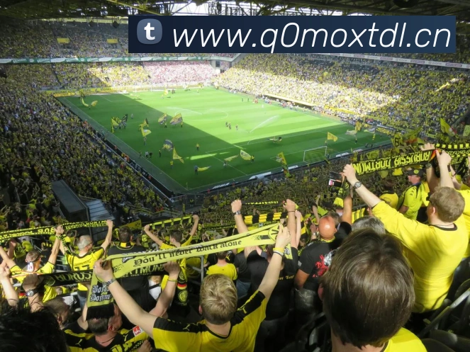 米兰app入口平台生态图