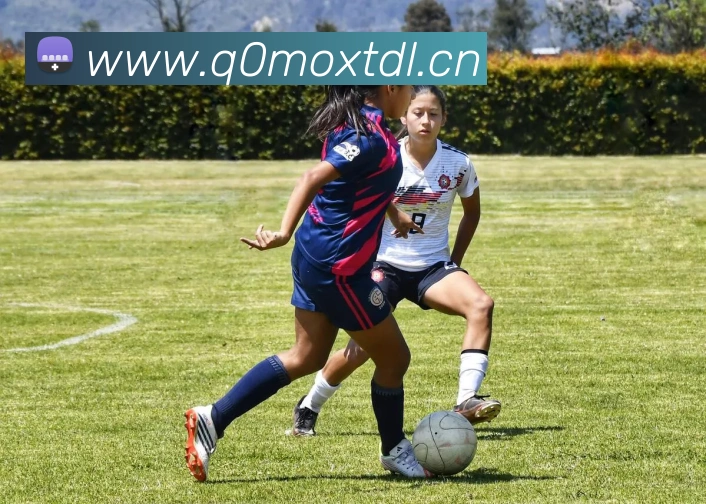 米兰app入口全站App